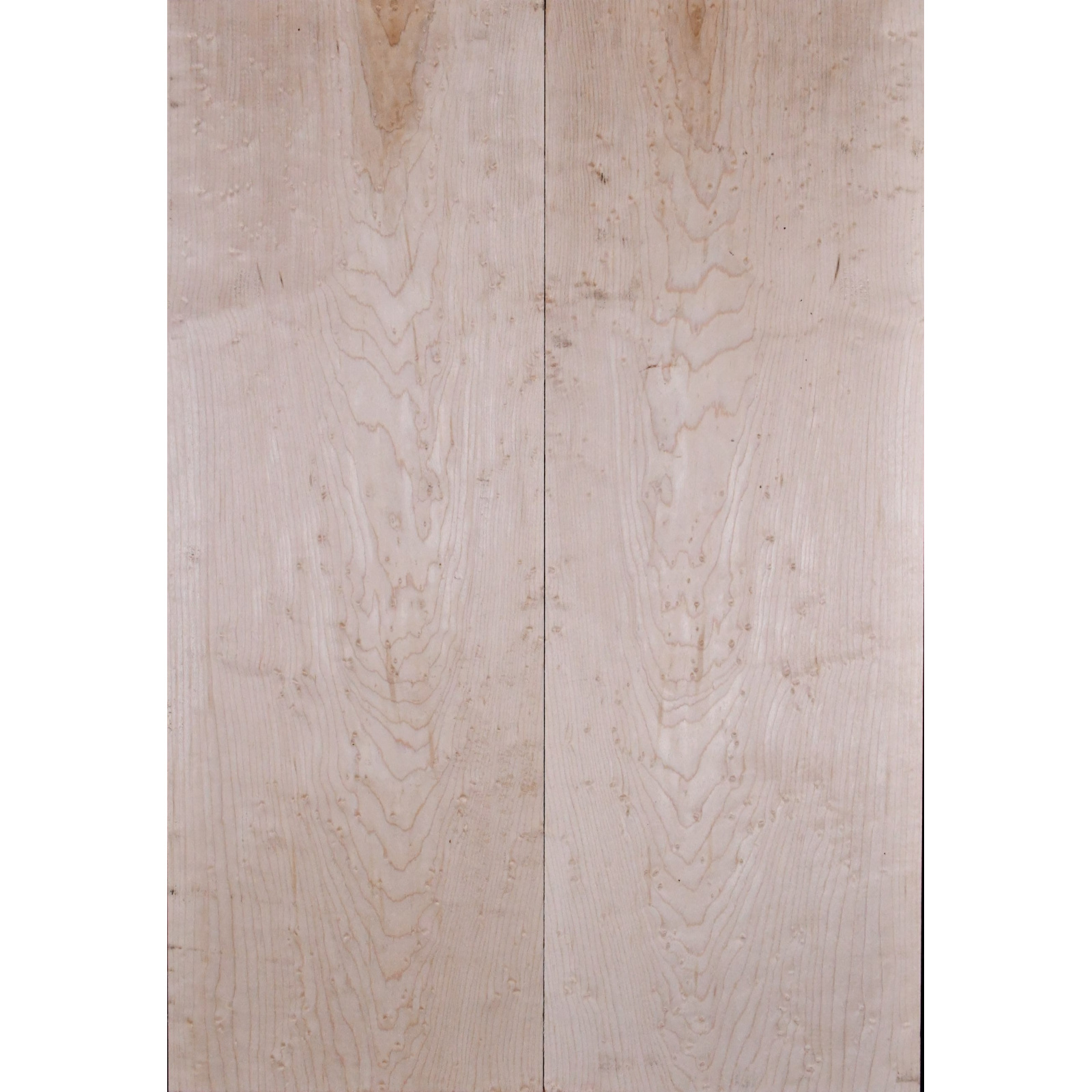 Vogelaugenahorn Top 55 x19 x12mm box
