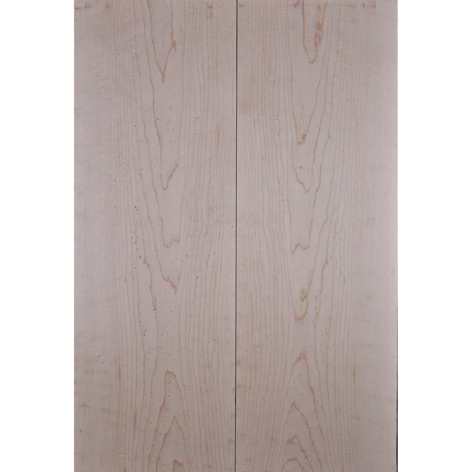 Vogelaugenahorn Top 55 x19 x12mm box