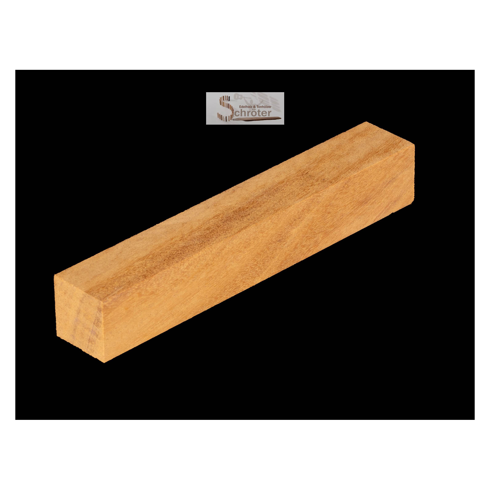 Izombe geriegelt Pen Blank box
