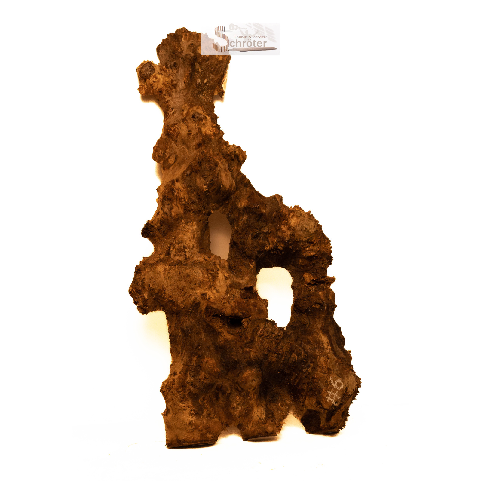 Pappel Maser Abschnitt 110x55x14cm
